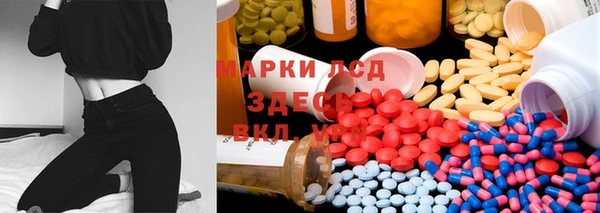 крисы Пенза