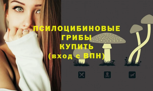 крисы Пенза
