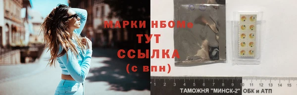 крисы Пенза
