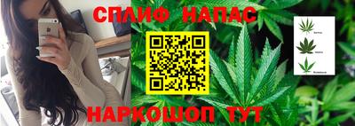 сатива Берёзовский