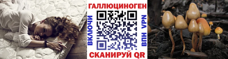 Псилоцибиновые грибы Cubensis Еманжелинск