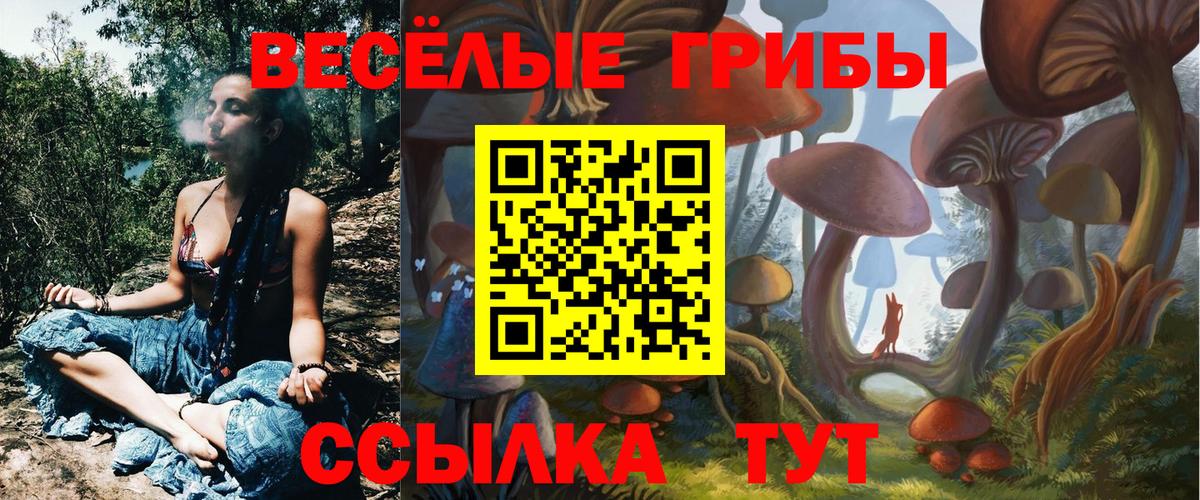 Галлюциногенные грибы мухоморы  Псилоцибиновые грибы Magic Shrooms  дарнет шоп  Еманжелинск 